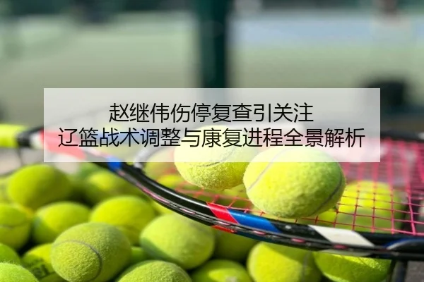 赵继伟伤停复查引关注 辽篮战术调整与康复进程全景解析